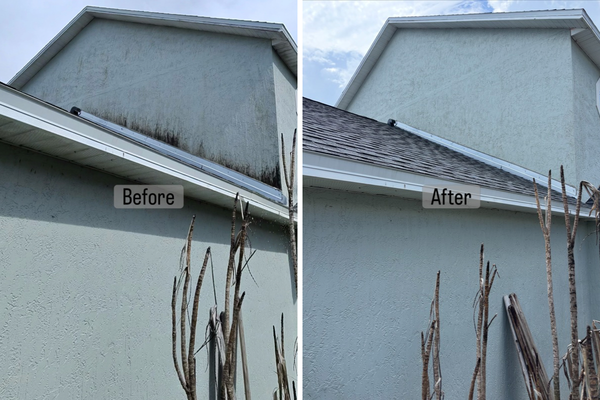 Before pressure washing 1